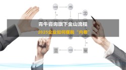 2025企業(yè)如何擺脫“內(nèi)卷”流程咨詢公司最新研究